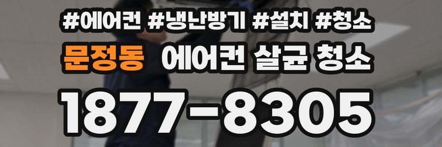 문정동 에어컨 살균 청소