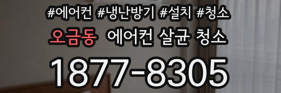오금동 에어컨 살균 청소