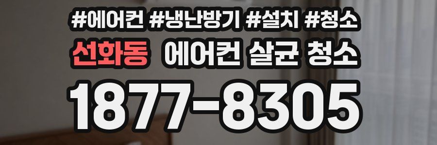 선화동 에어컨 살균 청소