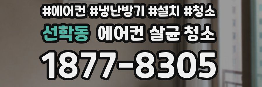 선학동 에어컨 살균 청소