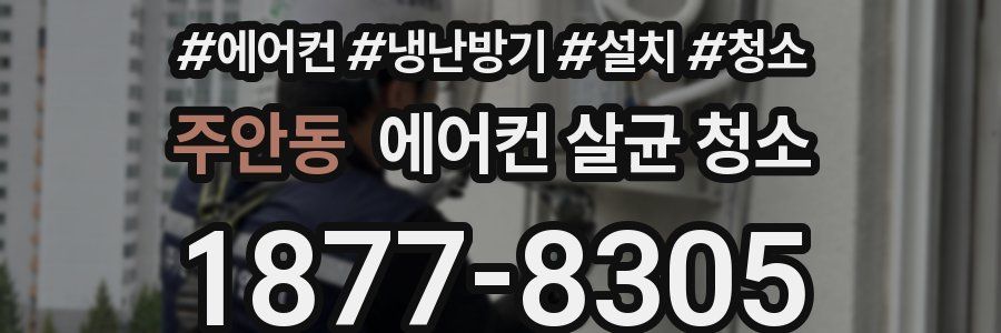 주안동 에어컨 살균 청소