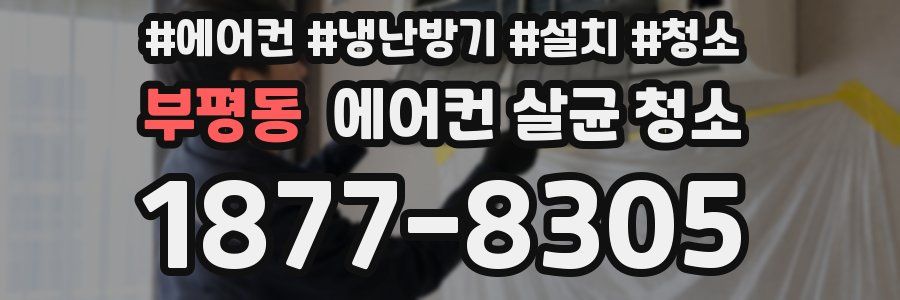 부평동 에어컨 살균 청소