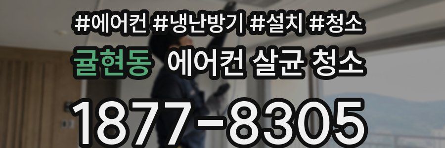 귤현동 에어컨 살균 청소