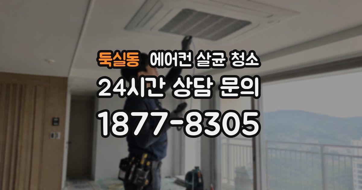둑실동 에어컨 살균 청소