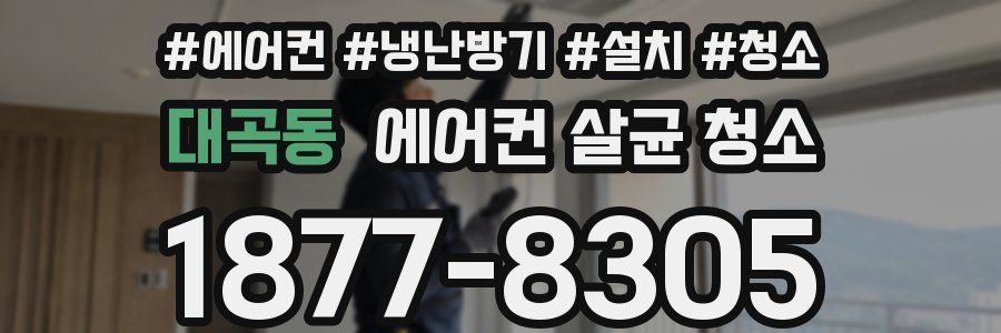 대곡동 에어컨 살균 청소