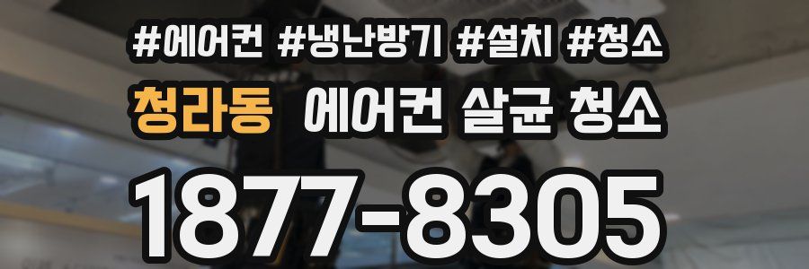 청라동 에어컨 살균 청소