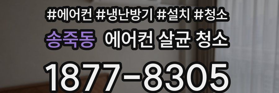 송죽동 에어컨 살균 청소