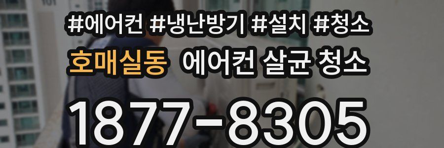 호매실동 에어컨 살균 청소