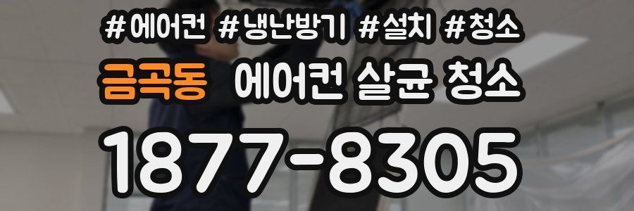 금곡동 에어컨 살균 청소