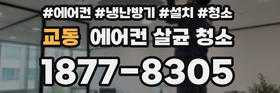교동 에어컨 살균 청소