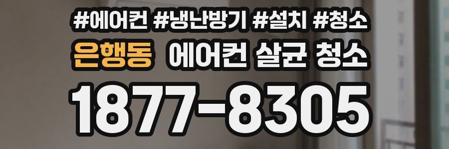 은행동 에어컨 살균 청소