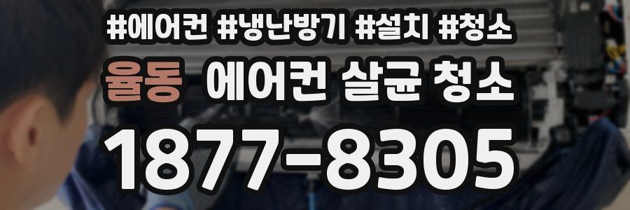 율동 에어컨 살균 청소