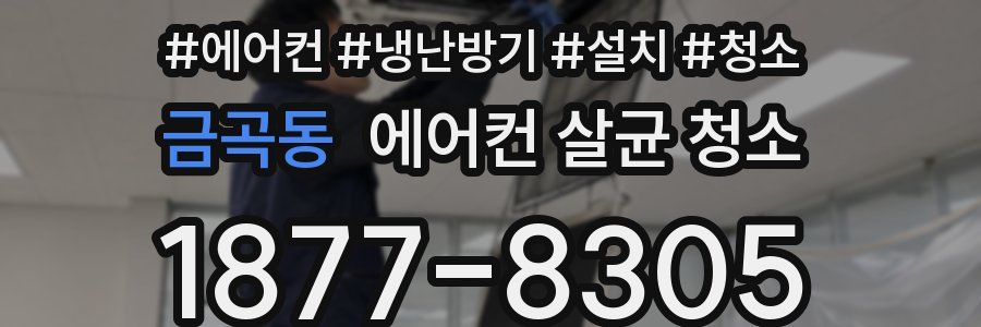 금곡동 에어컨 살균 청소