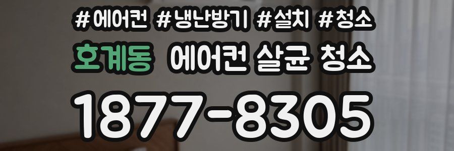 호계동 에어컨 살균 청소