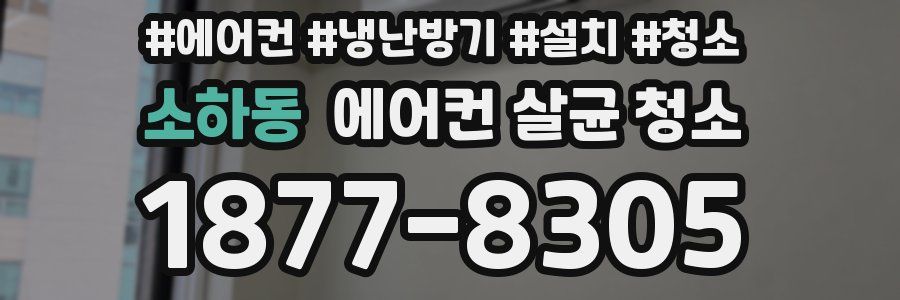소하동 에어컨 살균 청소