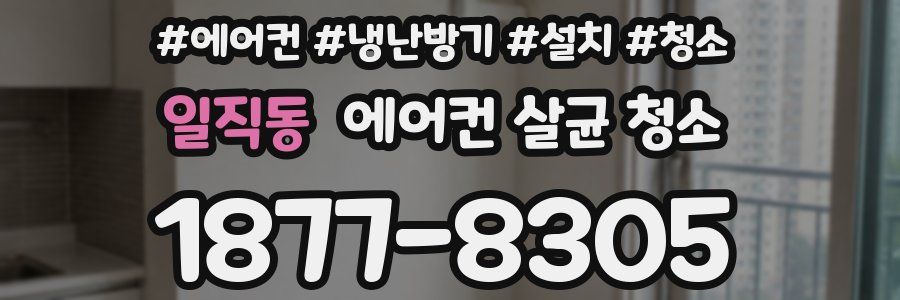 일직동 에어컨 살균 청소