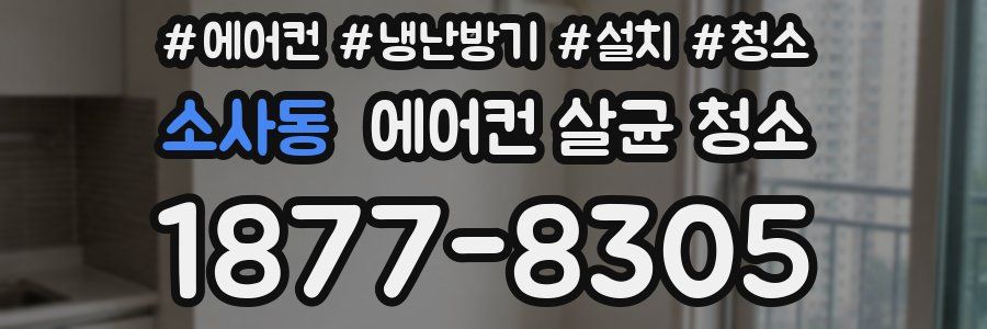 소사동 에어컨 살균 청소