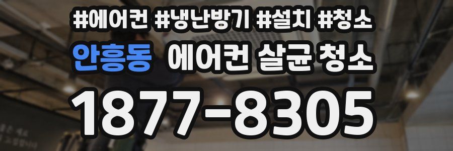 안흥동 에어컨 살균 청소