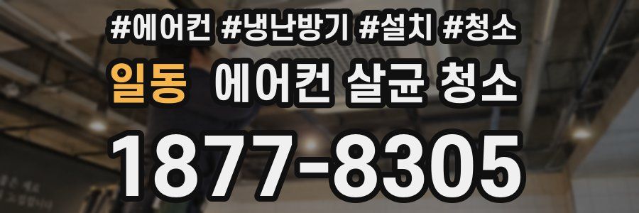 일동 에어컨 살균 청소