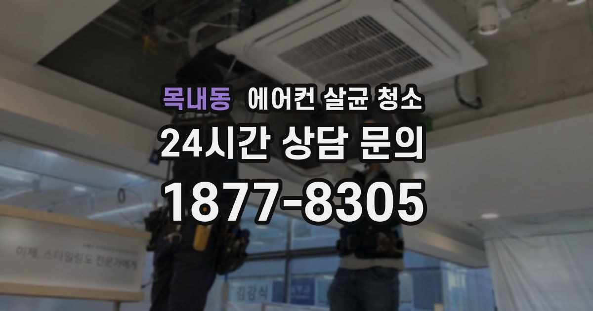 목내동 에어컨 살균 청소