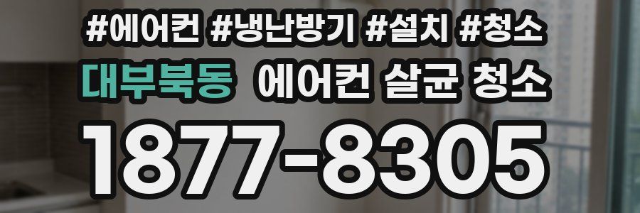 대부북동 에어컨 살균 청소