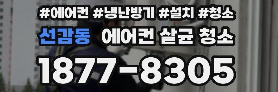 선감동 에어컨 살균 청소