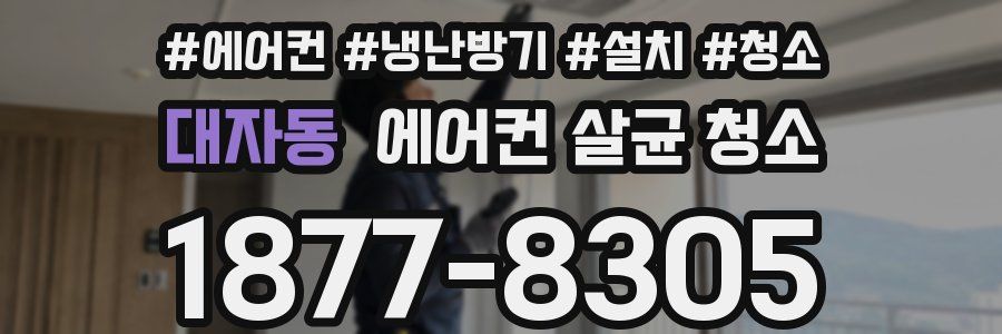 대자동 에어컨 살균 청소