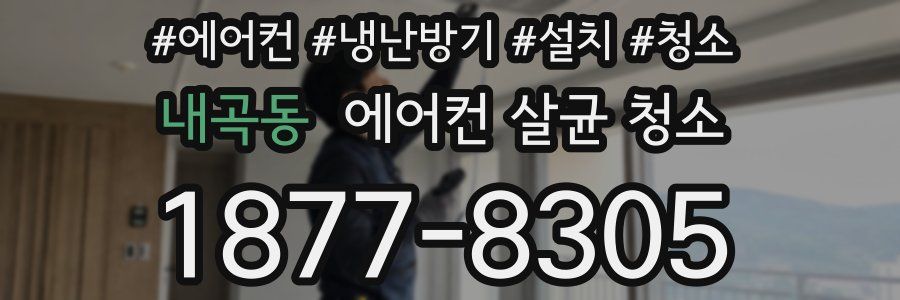 내곡동 에어컨 살균 청소