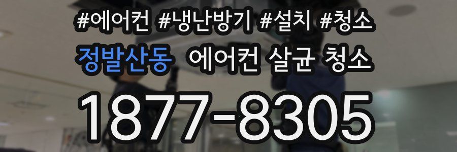 정발산동 에어컨 살균 청소