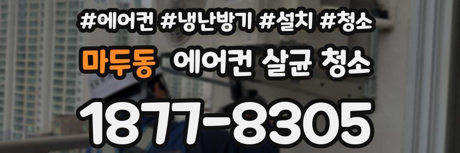 마두동 에어컨 살균 청소