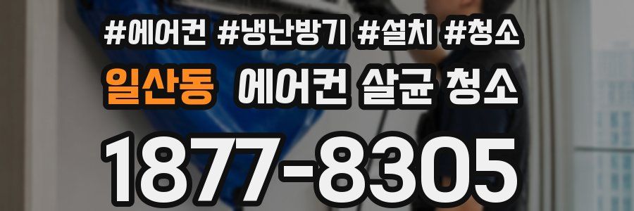 일산동 에어컨 살균 청소