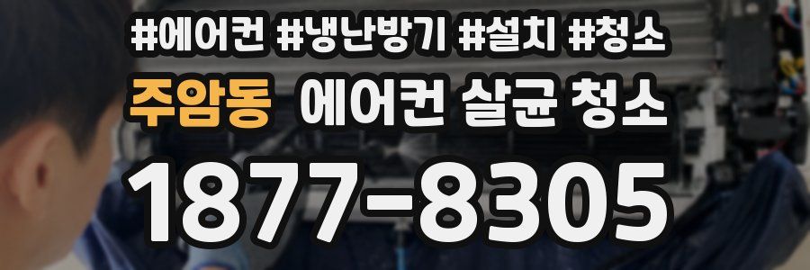 주암동 에어컨 살균 청소