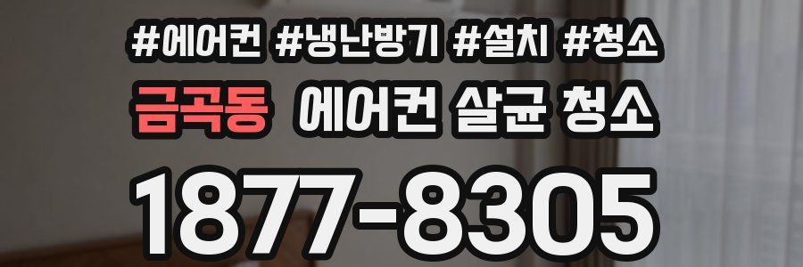 금곡동 에어컨 살균 청소