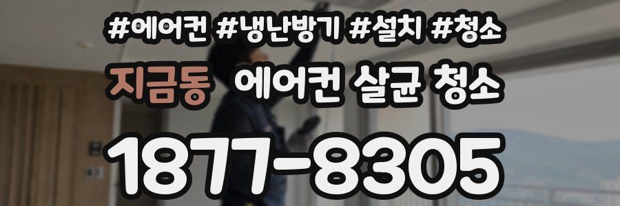 지금동 에어컨 살균 청소