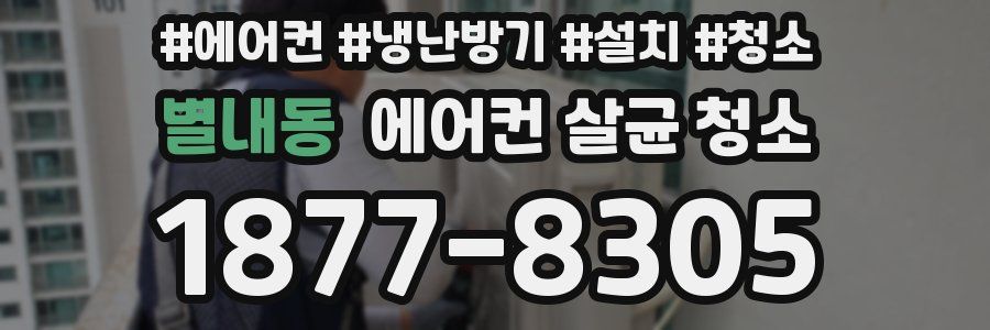 별내동 에어컨 살균 청소