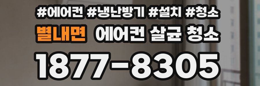 별내면 에어컨 살균 청소