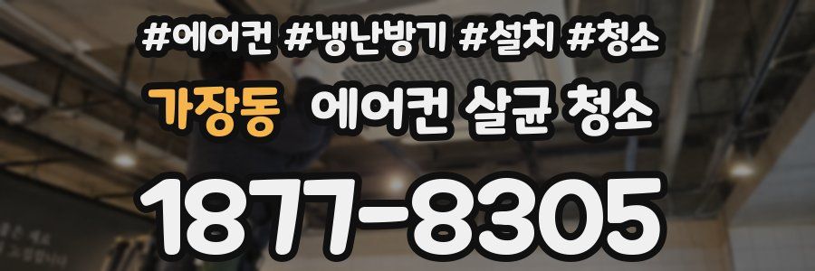 가장동 에어컨 살균 청소