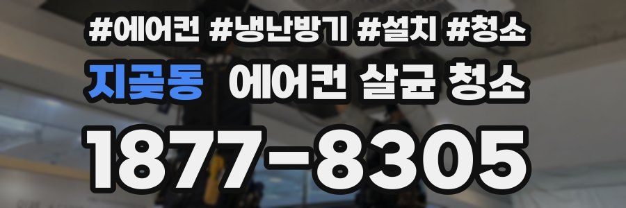 지곶동 에어컨 살균 청소
