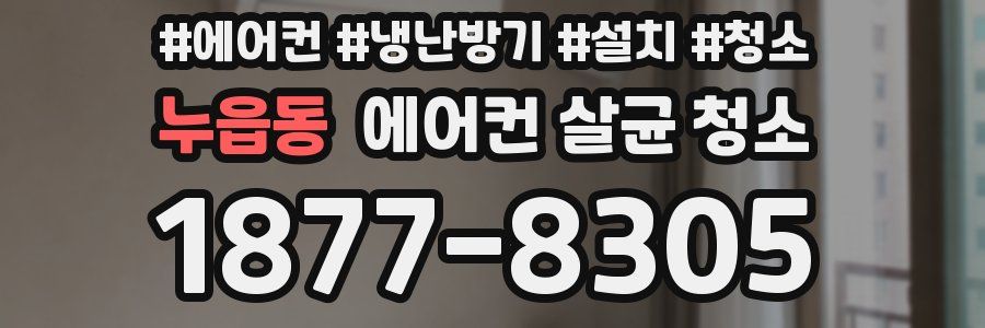 누읍동 에어컨 살균 청소