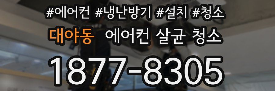 대야동 에어컨 살균 청소