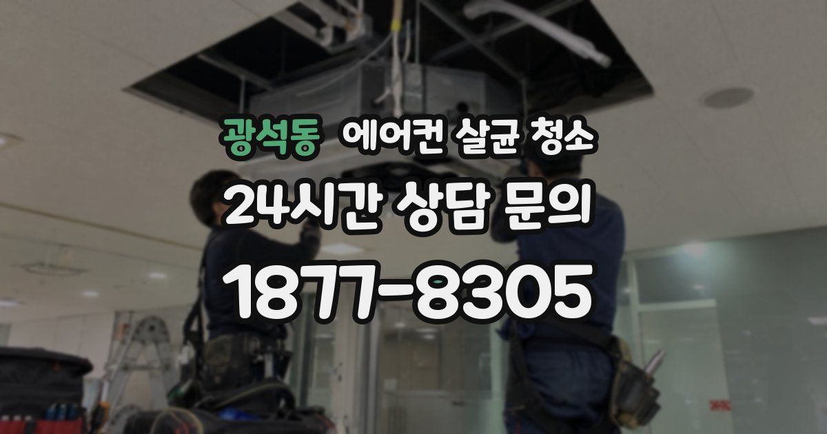 광석동 에어컨 살균 청소