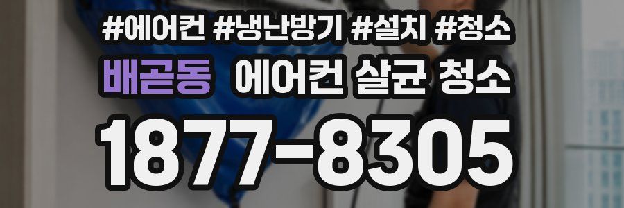배곧동 에어컨 살균 청소
