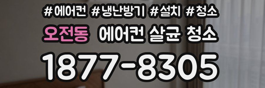 오전동 에어컨 살균 청소