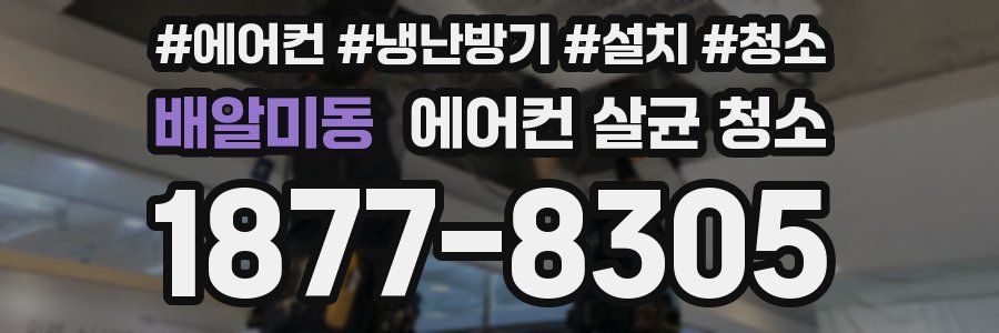 배알미동 에어컨 살균 청소