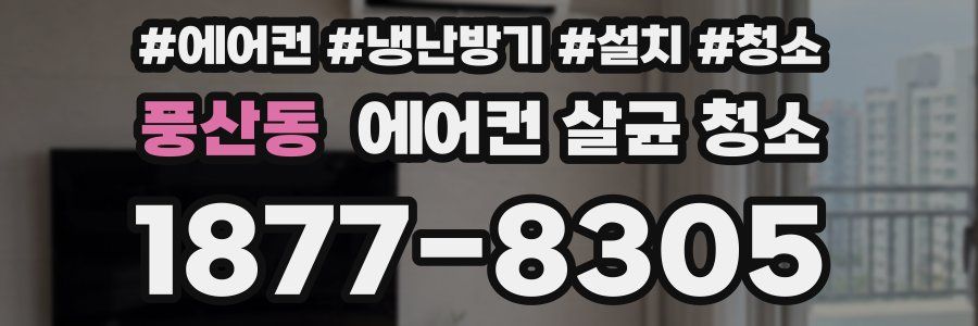풍산동 에어컨 살균 청소