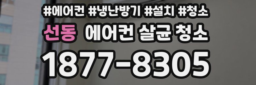 선동 에어컨 살균 청소