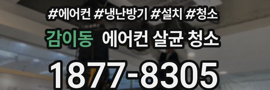 감이동 에어컨 살균 청소