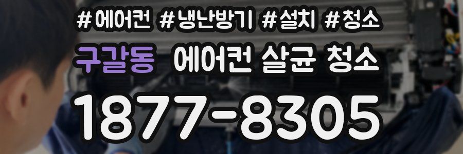 구갈동 에어컨 살균 청소