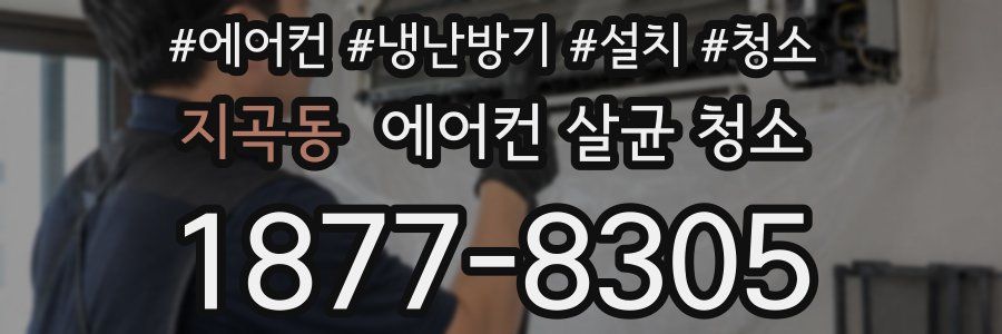 지곡동 에어컨 살균 청소