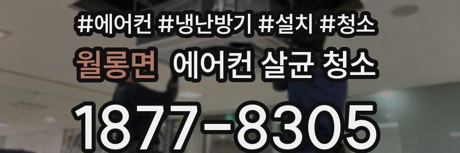월롱면 에어컨 살균 청소